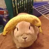 haequrl