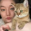 lucycatslife