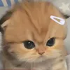 arisha.vex