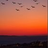 206_seattlegirl