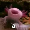 florleonelli_