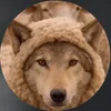 riskyy20s