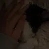 thesweetestbandito