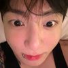 yolopjm