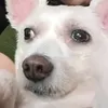 jimelynpark