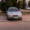 kudlatyy650