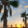 aicha_b___