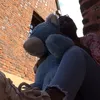 maybeasunflower