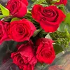 lovelife_uk