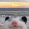 derooietovertrol