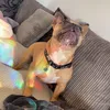 lisapoxon03