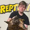 lucastestudo