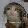 zaz22__