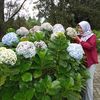 sekarwangi24