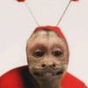 ananicst