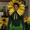 sunflowerwillsmith