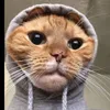 suhkrutykk2
