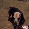 staceybuckridge
