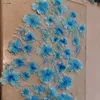 florrdeldesierto
