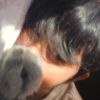 luca.nc_