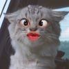 flybutter___