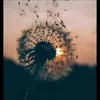 olaaa_57
