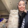 Nsreen Mohamed