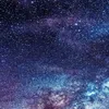 _____noname