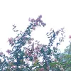 _._._0023