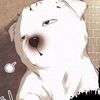 _a_sasi