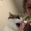.miabrigitta
