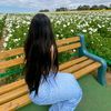 parpy772