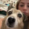 iamsophiesesh