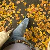 julio___24