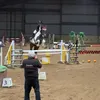 daily_equestrian