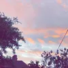 unique_forever02