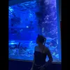 csinos.viki46