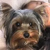 gabimusyc270