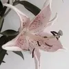 0hanqel
