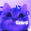 lizard.dti
