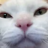 mrrrr.b