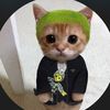 ulooksocool
