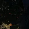 anna_rwq