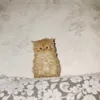 varlamychh