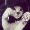 ilovecats8887