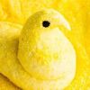 butterwasher