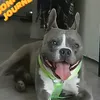 nopainnogain8