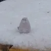 vyacheslavoooo