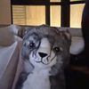 garyhwnzz