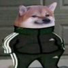 _qwertzx_